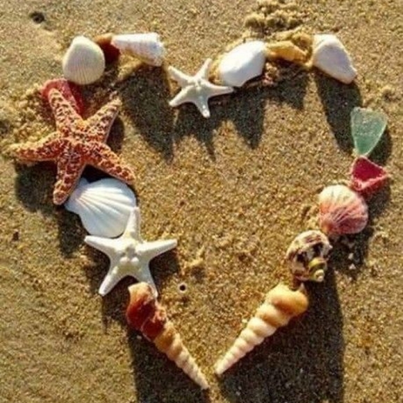 Meet your Posher, Brenda - Picture 11 of 13